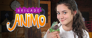 Brigade Animo